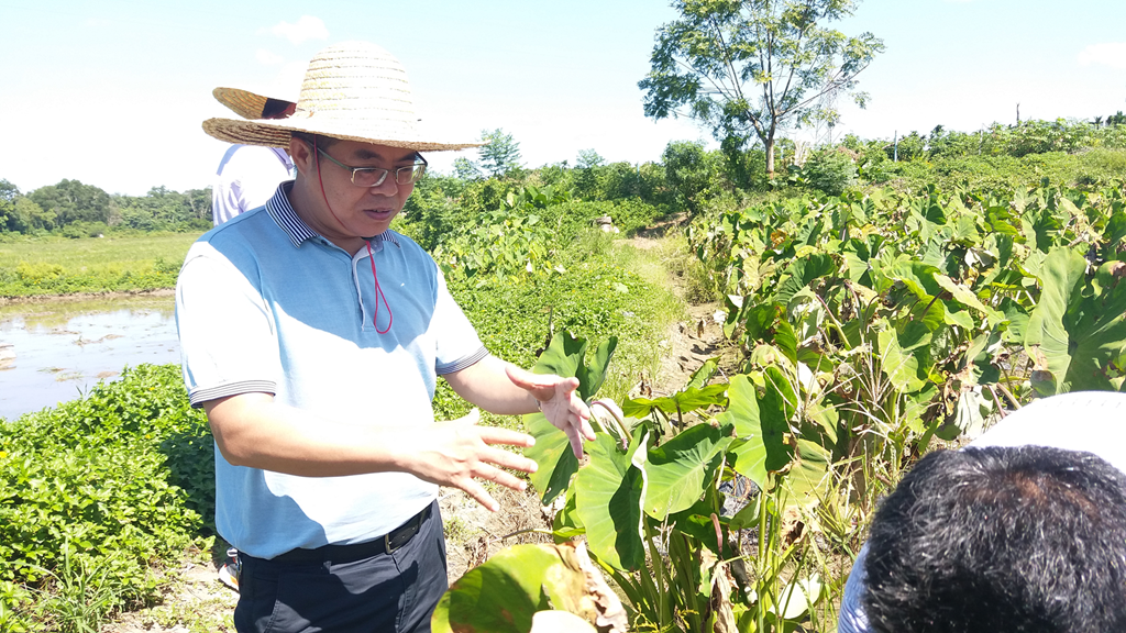 南宫NG·28(中国)相信品牌力量有限公司