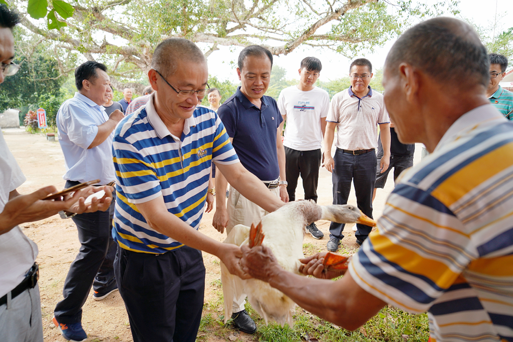 南宫NG·28(中国)相信品牌力量有限公司