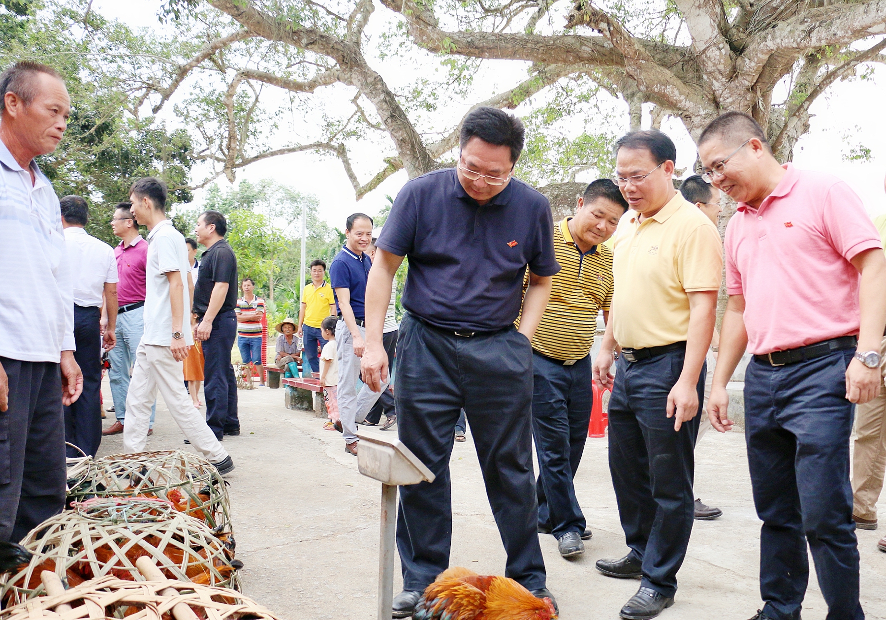 南宫NG·28(中国)相信品牌力量有限公司