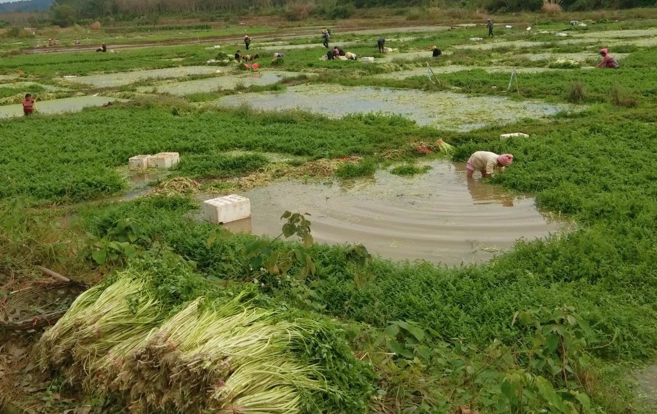 南宫NG·28(中国)相信品牌力量有限公司