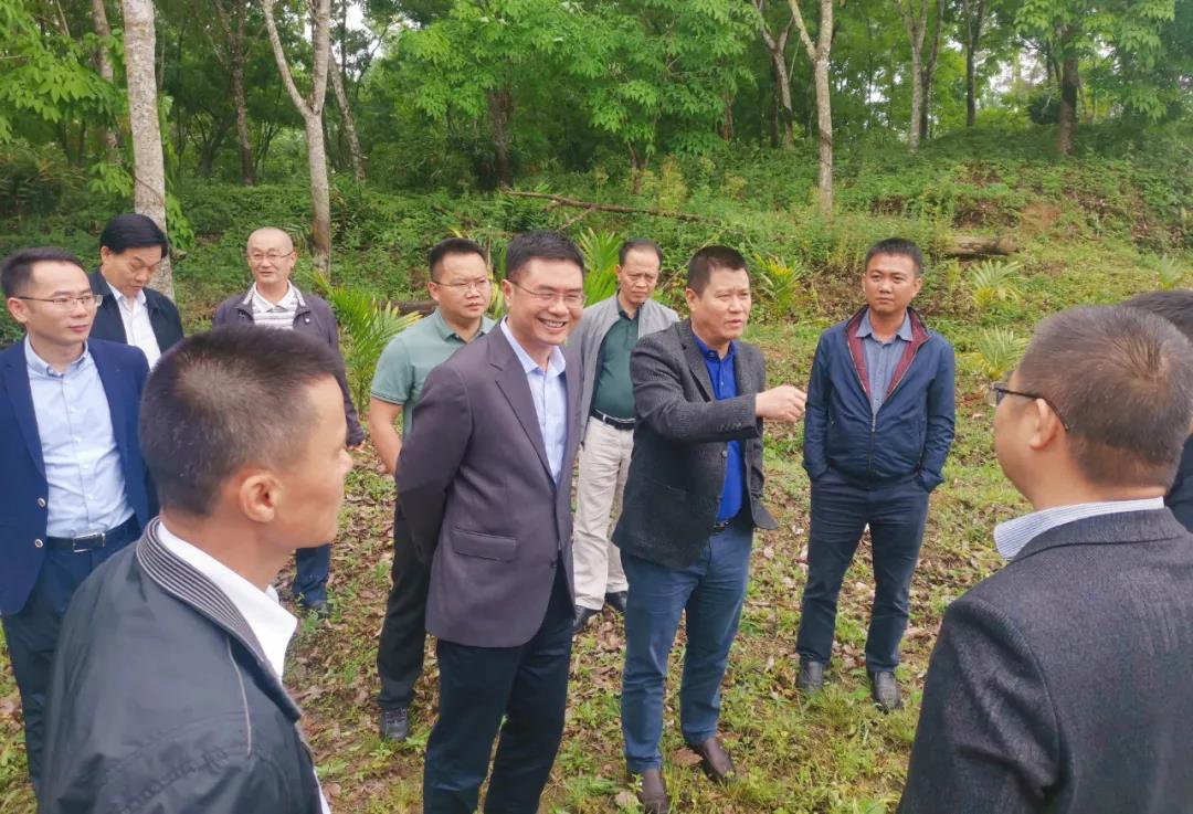 南宫NG·28(中国)相信品牌力量有限公司