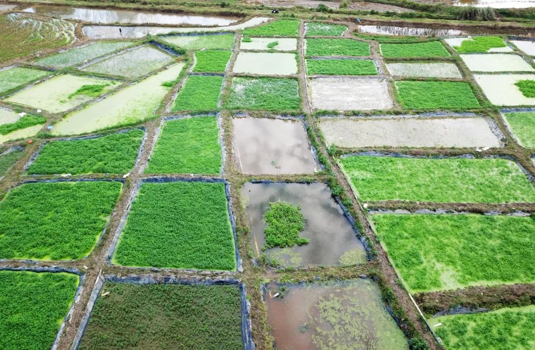 南宫NG·28(中国)相信品牌力量有限公司